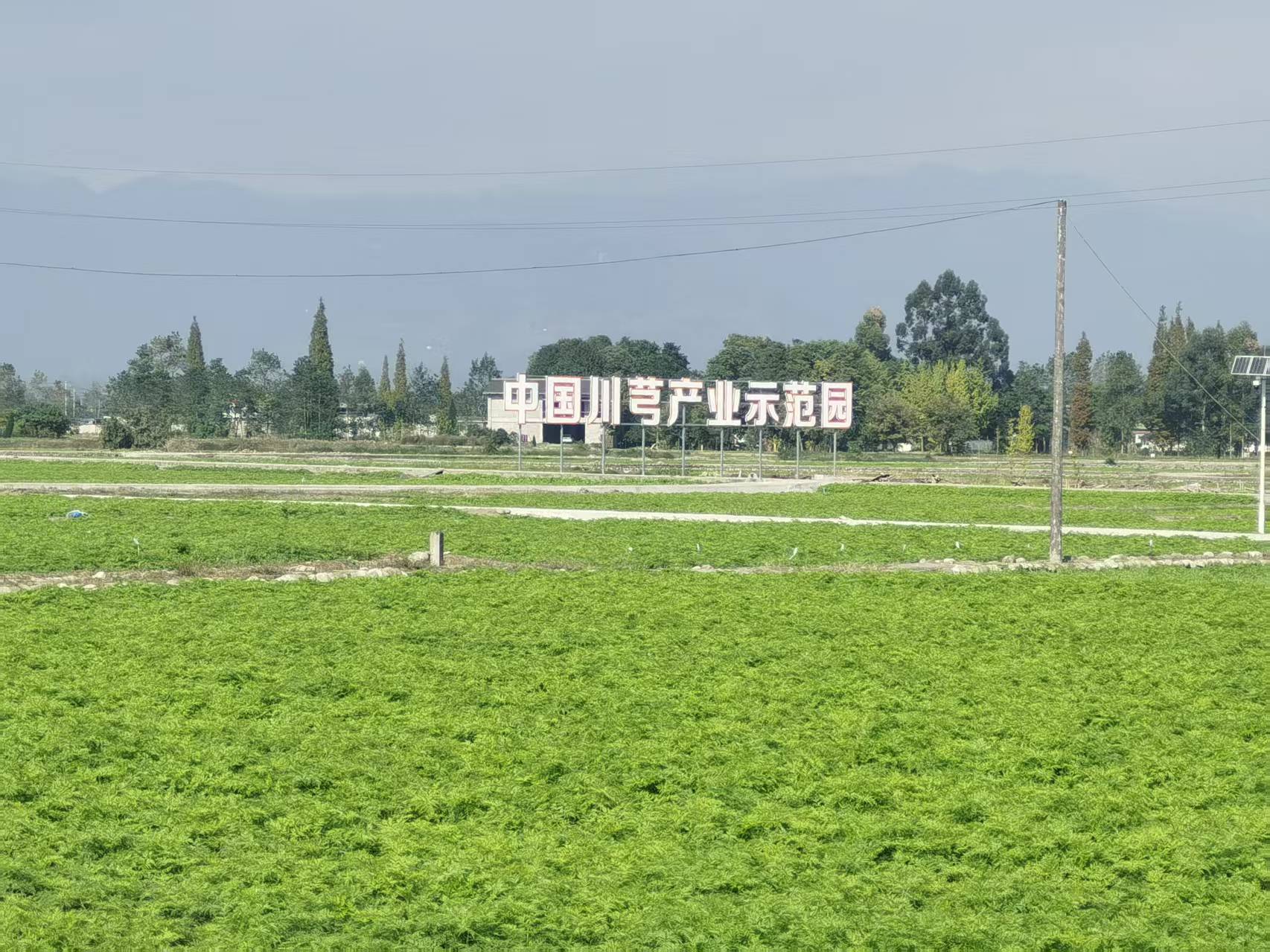 GAP种植基地 5