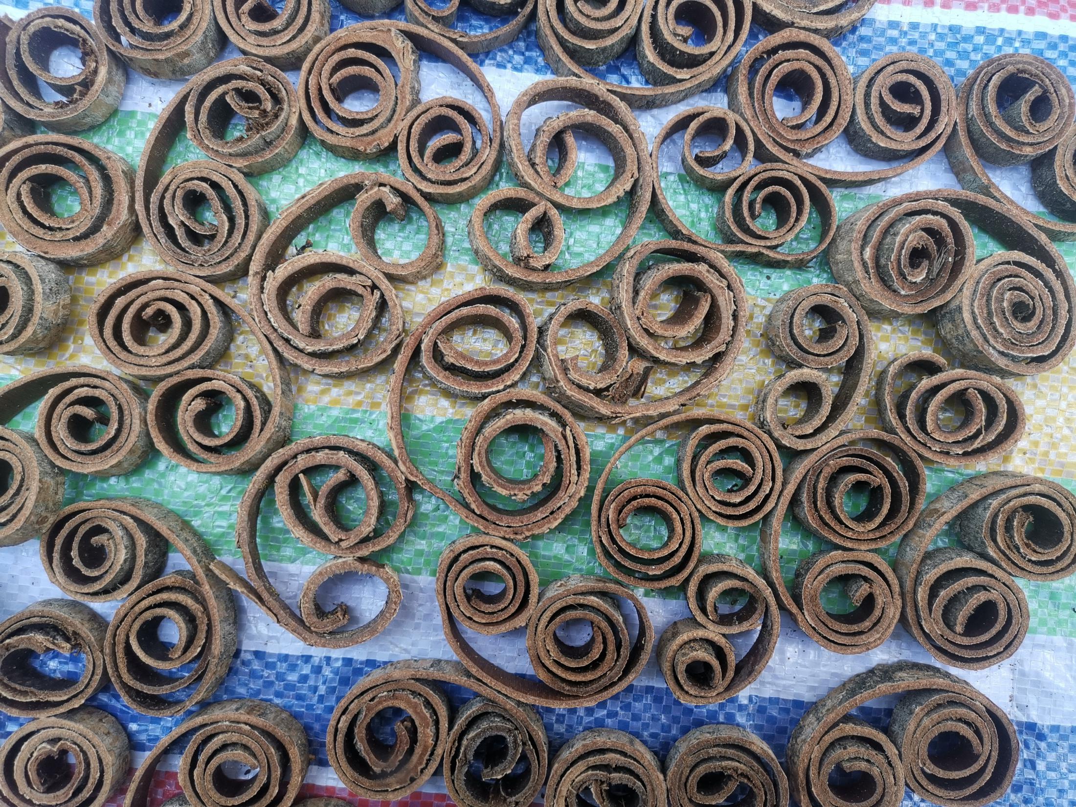 厚朴丝