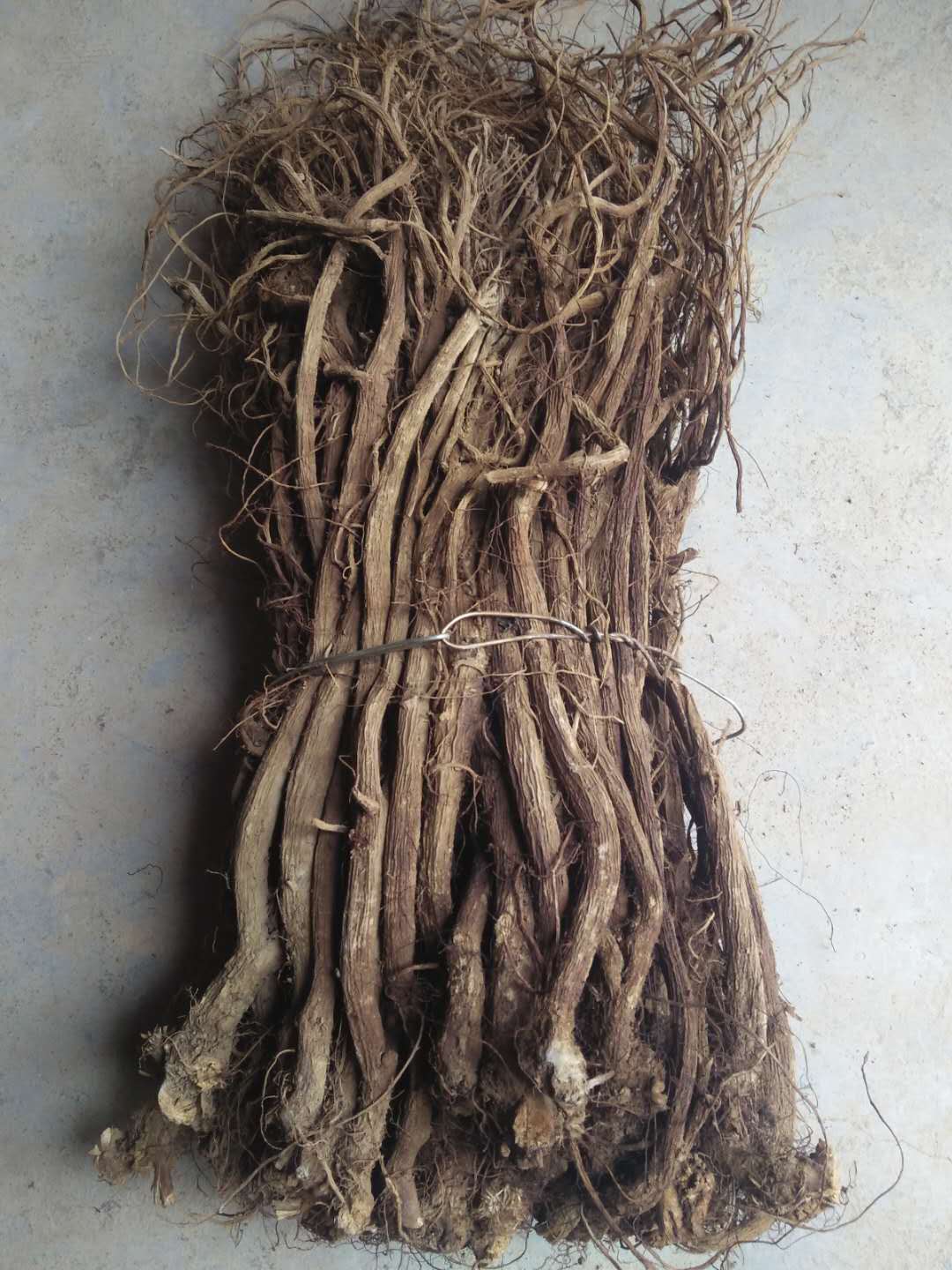 川牛膝