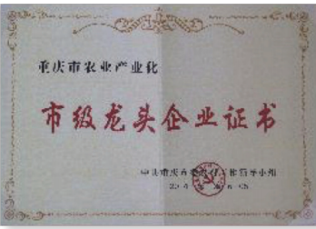 荣誉资质