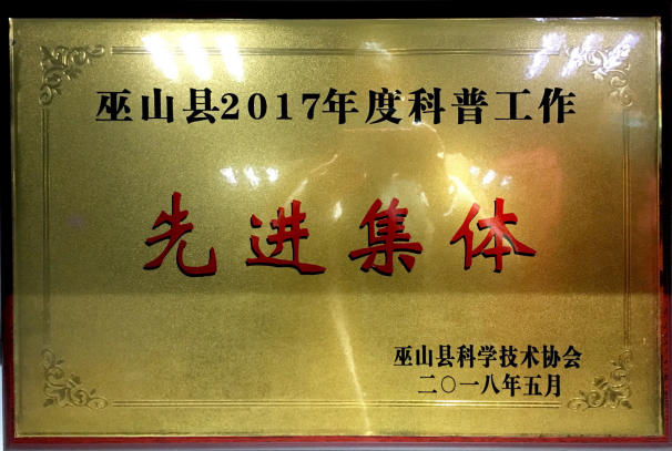 荣誉资质