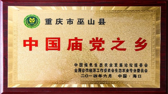 荣誉资质